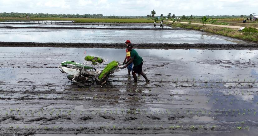 Kementan Minta Petani Tak Segan Laporkan Pungli Bantuan Alsintan