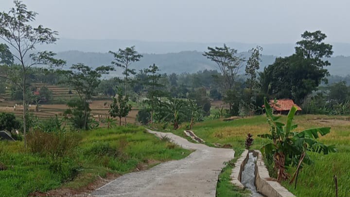 Pemerintah Purwakarta Bangun Jalan Usaha Tani untuk Petani Kiarapedes