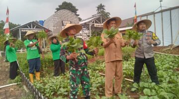 Desa Gunung Putri Luncurkan Program Pekarangan Pangan Lestari