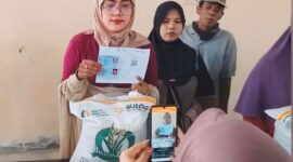 Sebanyak 701 Keluarga Penerima Manfaat (KPM) di Desa Sukadaya, menerima bantuan sosial berupa beras dari Kementerian Sosial Republik Indonesia (Kemensos RI). Bantuan tersebut disalurkan melalui Perum Bulog dengan total volume mencapai 14 ton 40 kilogram, sebagai alokasi untuk bulan Juni dan Juli 2025.