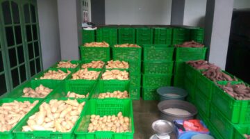 Pengusaha Muda Bogor Heri Kadir Kembangkan Bisnis Ubi Berkualitas, Dorong Ekonomi Petani Lokal