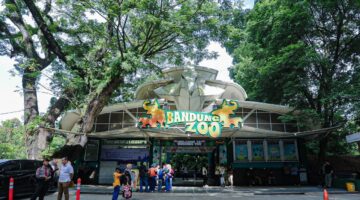 Pemkot Bandung Percepat Revitalisasi Bandung Zoo, Ditargetkan Kembali Beroperasi dalam Waktu Kurang dari Satu Tahun