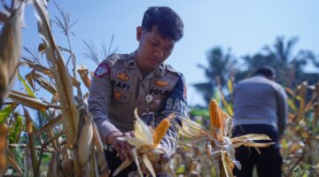 Dukung Swasembada Pangan, Satlantas Polres Bogor Turun Langsung Tanam Jagung Bersama Masyarakat