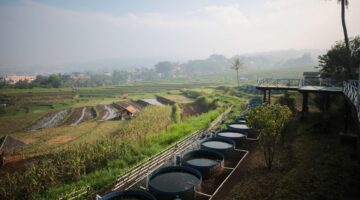 Ketahanan Pangan Bandung Diperkuat, Pemkot Kaji Skema Lumbung Pangan untuk Amankan Pasokan Strategis