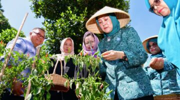 Patut Ditiru, Para Ibu di Cigugur Tengah Cimahi Jadi Ujung Tombak Ketahanan Pangan Keluarga