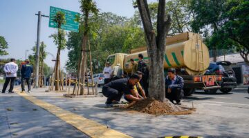 Pemkot Mulai Rehabilitasi Ruang Publik, 10 Pohon Mahoni Kembali Hijaukan Jalan Riau